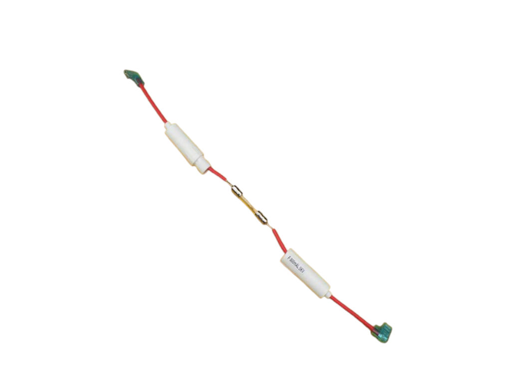 Pojistka mikrovlnná trouba ETA 2206 00100