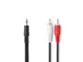 Audio kabel 3,5mm jack na 2x RCA 3 m černý