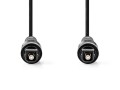 Optický audio kabel Toslink 2 m černý Nedis CAGL25000BK20