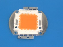 LED COB dioda plnospektrální 30W pro pěstování rostlin